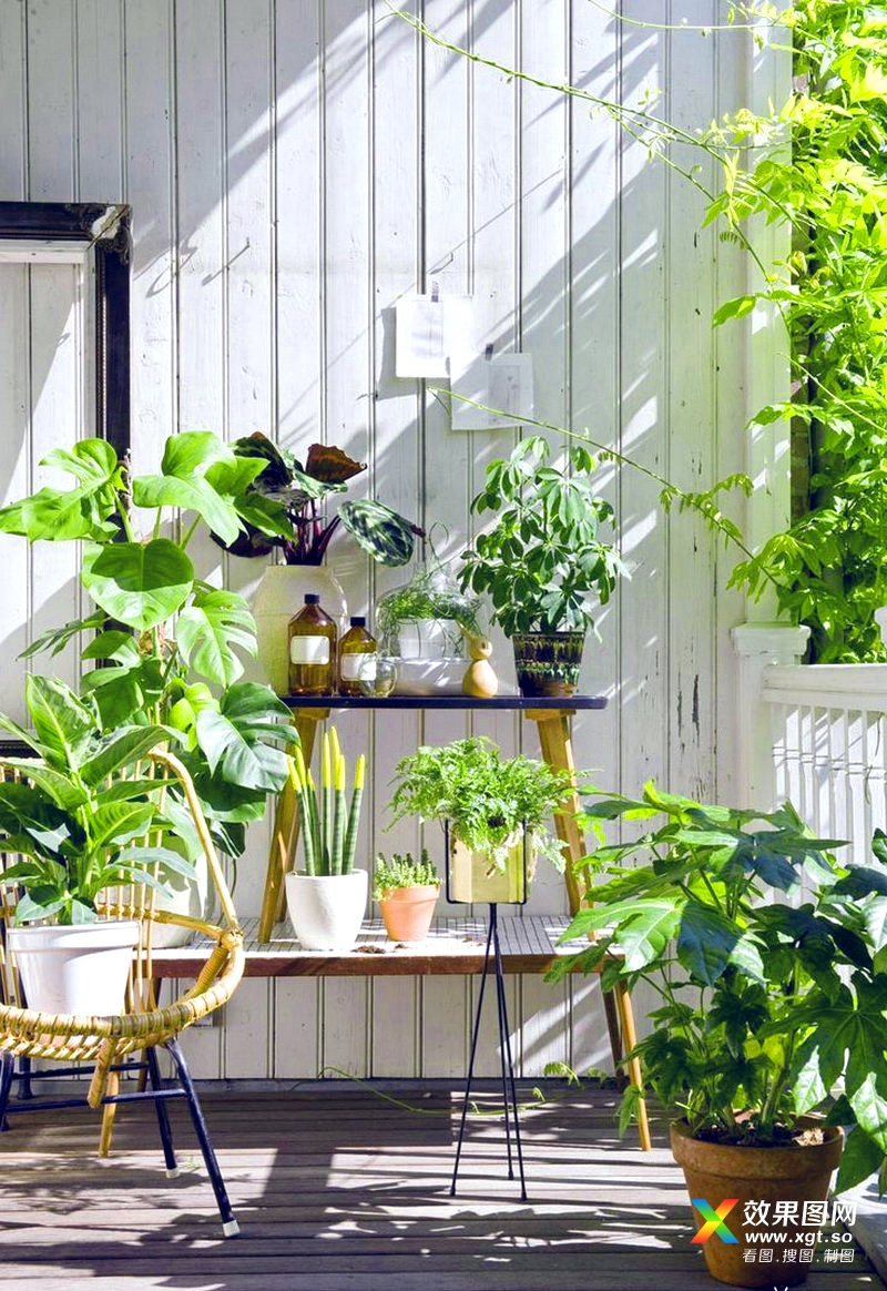 阳台装修植物盆栽搭配,给新家不一样的感觉! 